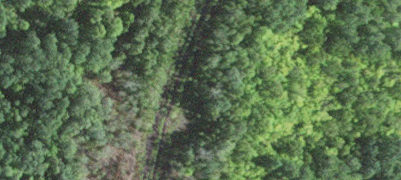 Hoyt Lakes, MN 55750