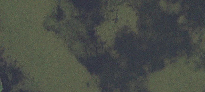 Hitterdal, MN 56552