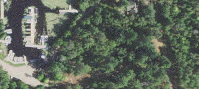 Cook, MN 55723