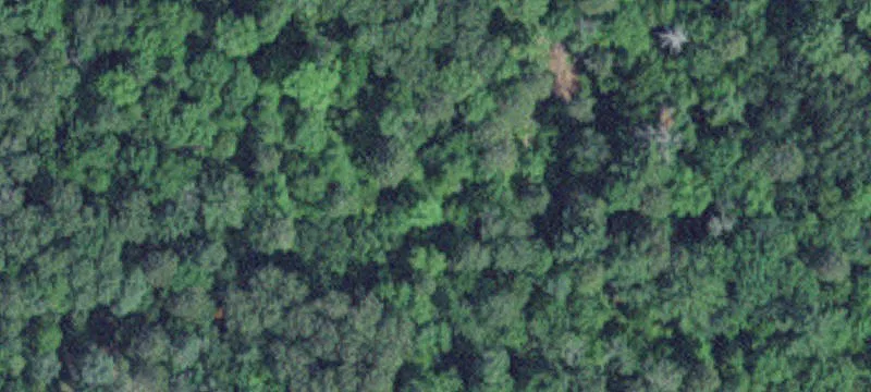 Fifty Lakes, MN 56448