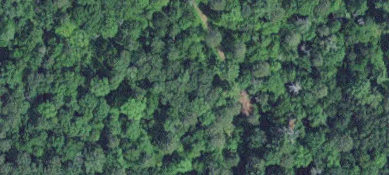 Fifty Lakes, MN 56448