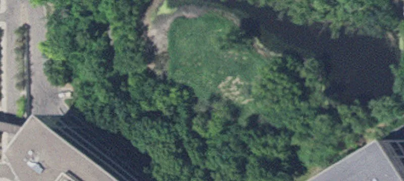 Hopkins, MN 55305