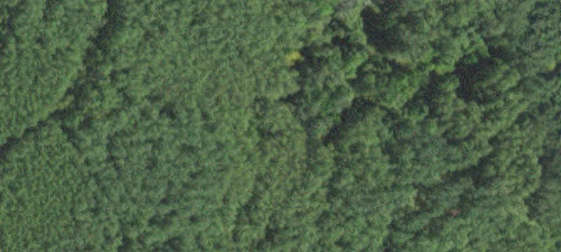 Kinney, MN 55758