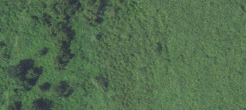 Felton, MN 56536