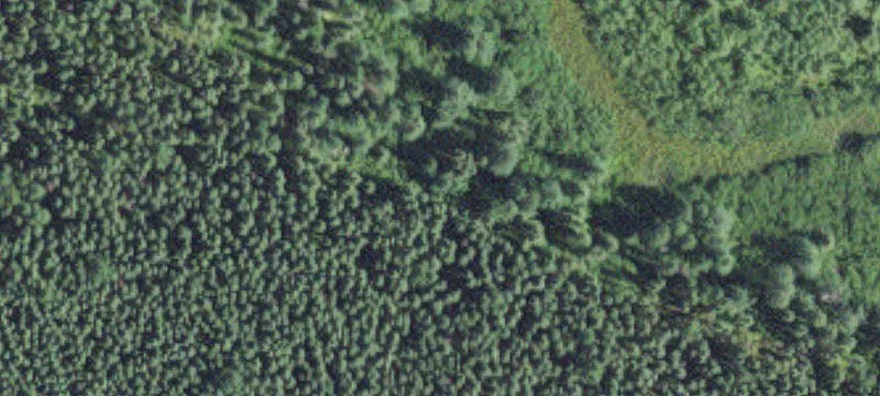 Cook, MN 55723
