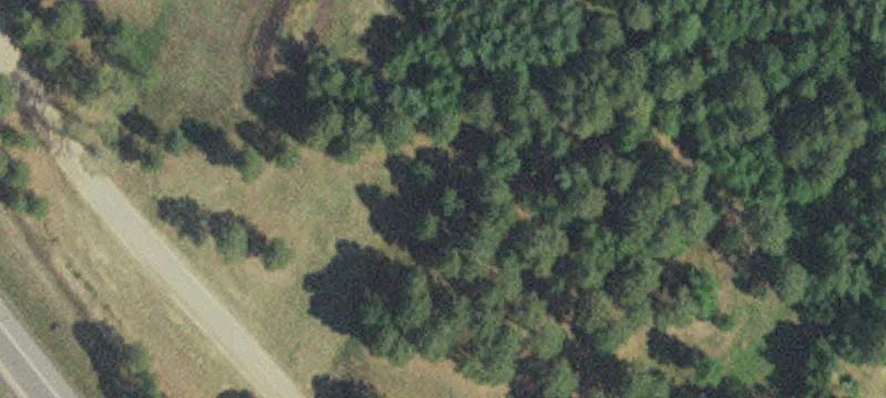 Jenkins, MN 56456