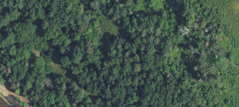 Pequot Lakes, MN 56472