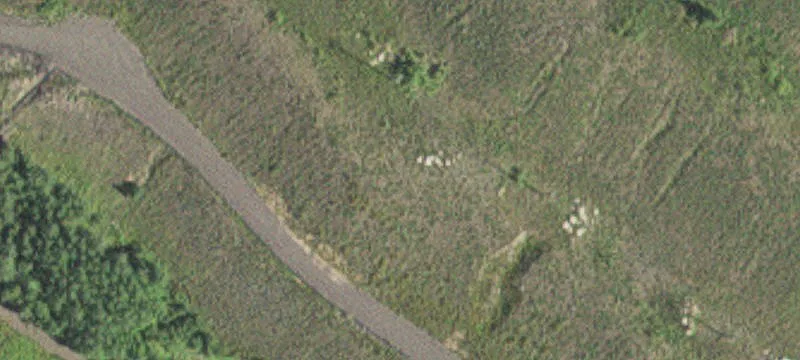 9163 Old Hwy 169