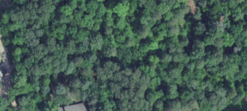 Fifty Lakes, MN 56448