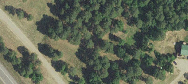 Jenkins, MN 56456