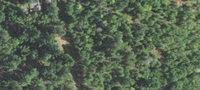 Cook, MN 55723