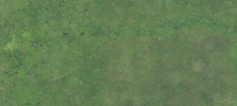Felton, MN 56536