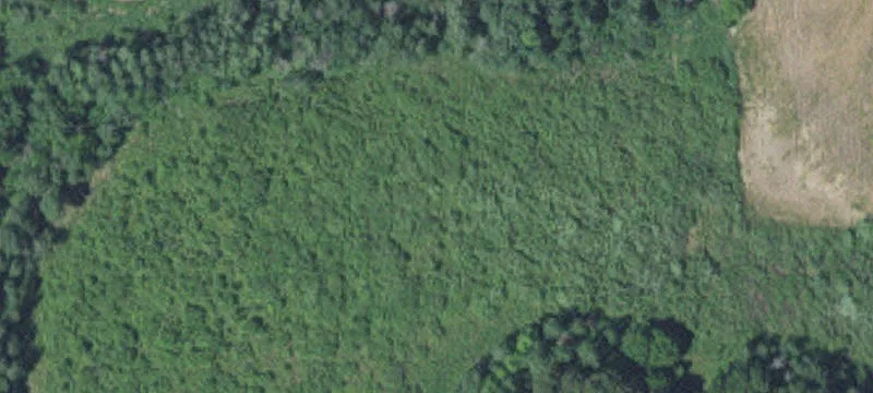Princeton, MN 55371