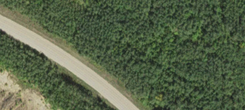 Hibbing, MN 55746