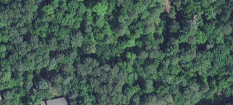Fifty Lakes, MN 56448