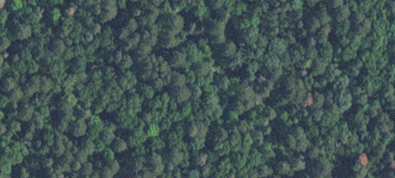Nisswa, MN 56468