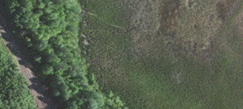 Hoyt Lakes, MN 55750