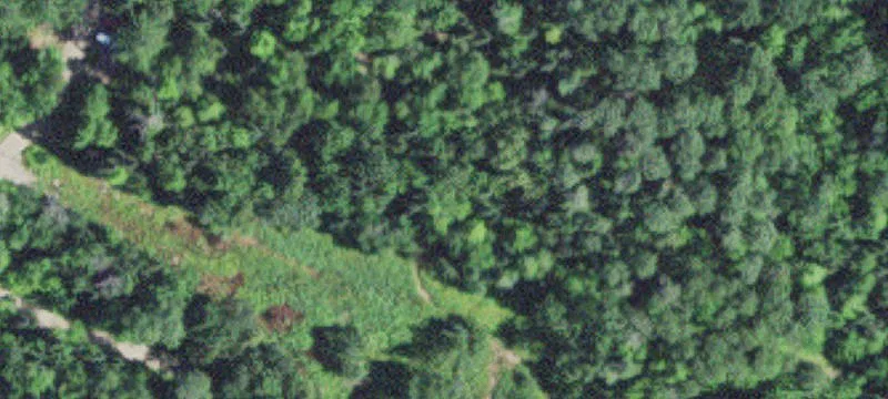 10969 Sugar Bush Trl
