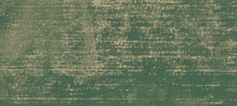 Barnesville, MN 56514