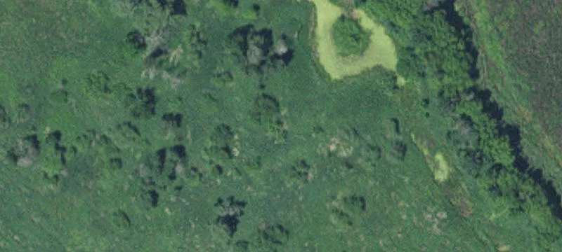 Zimmerman, MN 55398