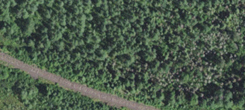 Brimson, MN 55602