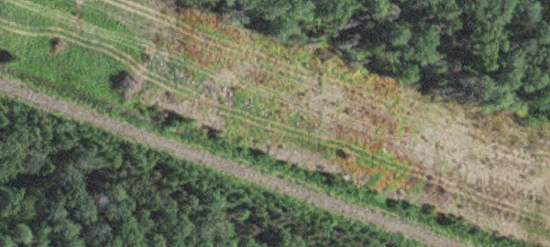 Brimson, MN 55602