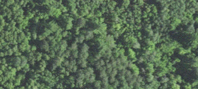 Orr, MN 55771