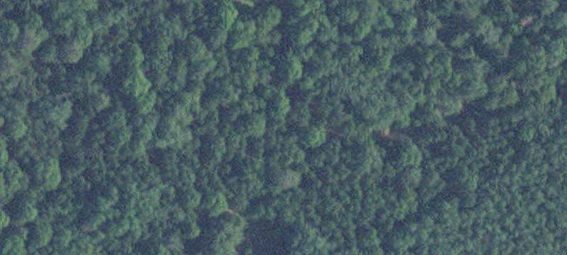Nisswa, MN 56468