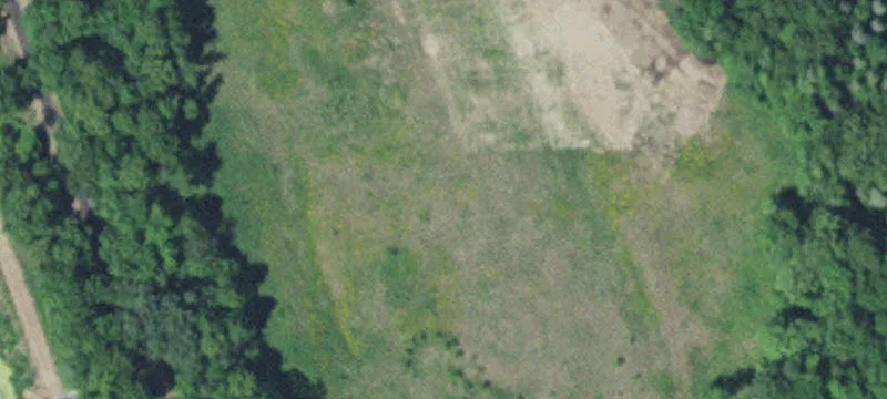 Zimmerman, MN 55398
