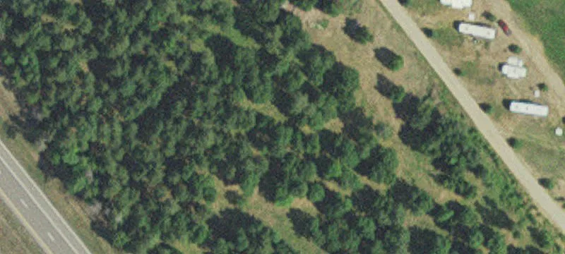 Jenkins, MN 56456