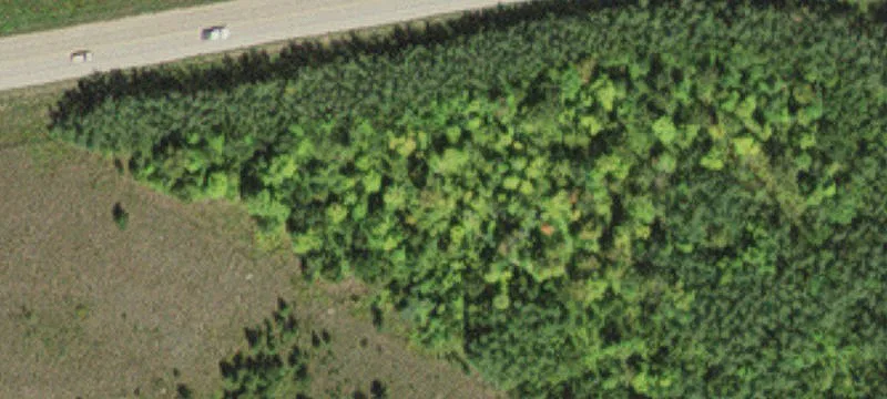 Hibbing, MN 55746
