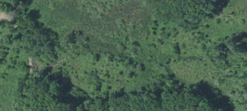 Elk River, MN 55330