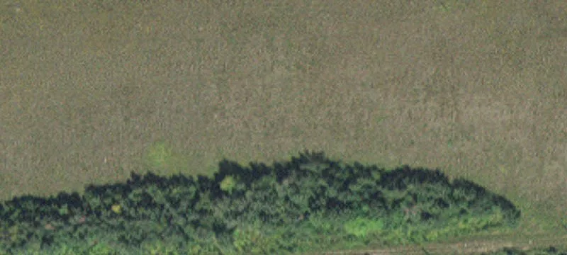 Hibbing, MN 55746