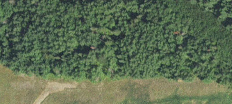 Angora, MN 55703