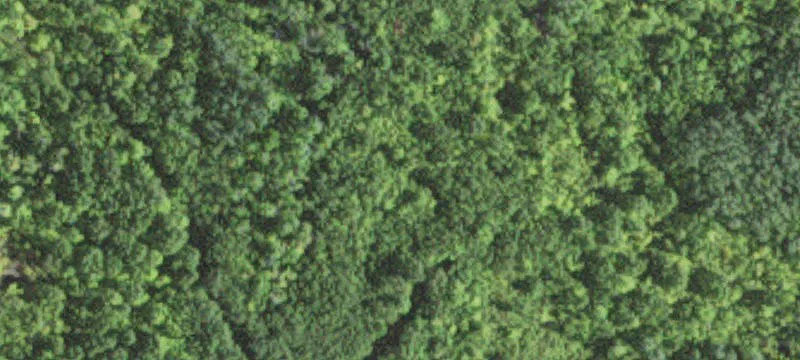 Hoyt Lakes, MN 55750