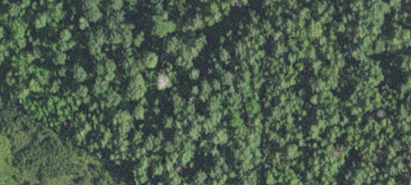 Cotton, MN 55724
