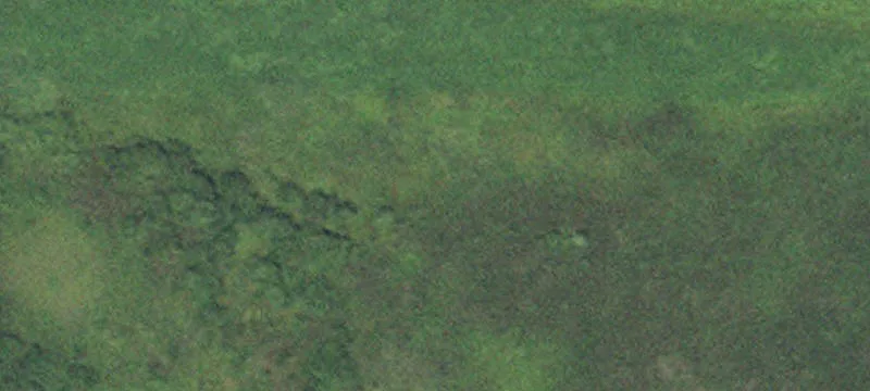 Felton, MN 56536