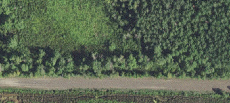 Forbes, MN 55738