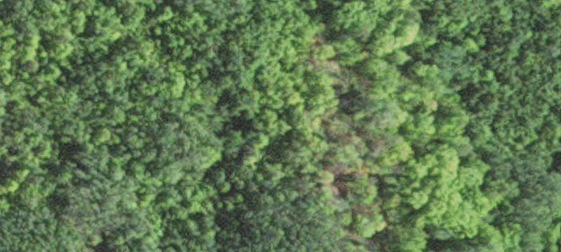 Hoyt Lakes, MN 55750