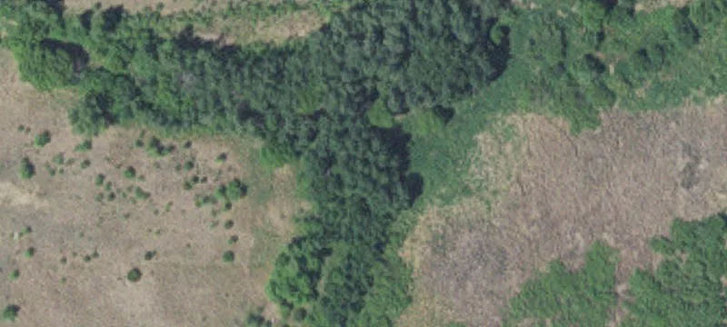 Princeton, MN 55371