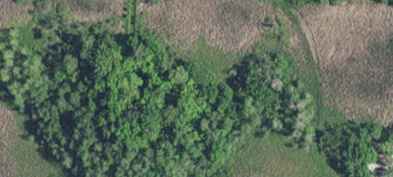 Shafer, MN 55074