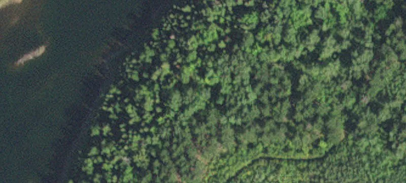 Kinney, MN 55758
