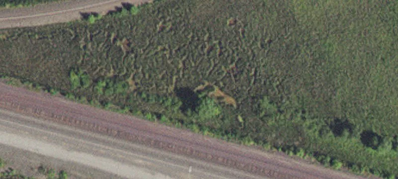 Forbes, MN 55738