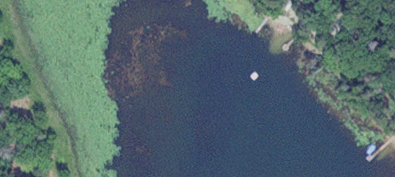 Merrifield, MN 56465
