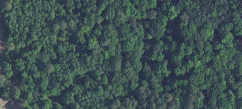 Pequot Lakes, MN 56472