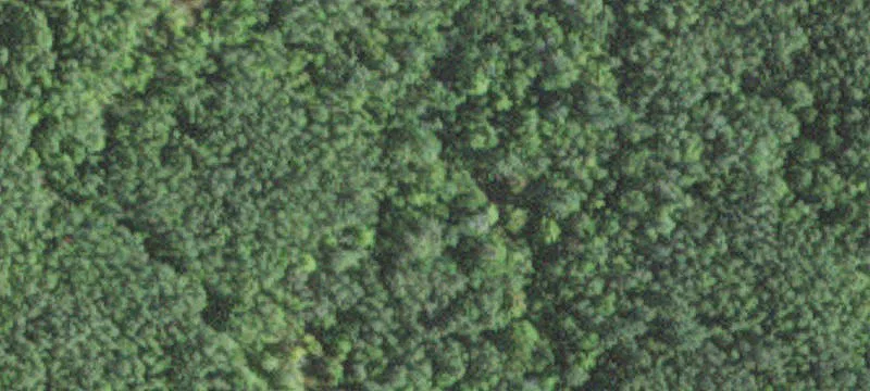Hoyt Lakes, MN 55750