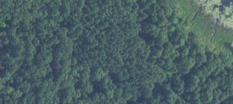 Nisswa, MN 56468
