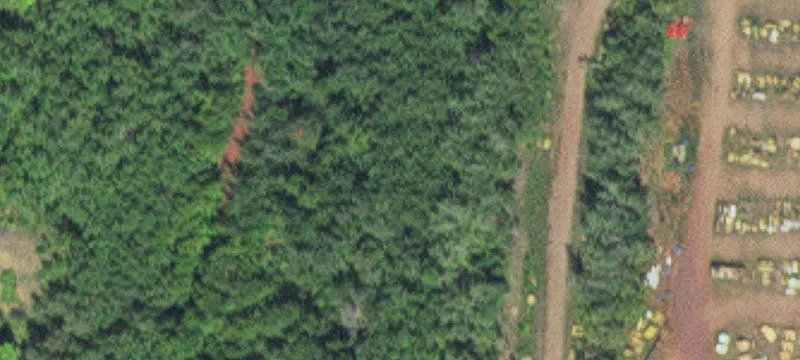 Hibbing, MN 55746