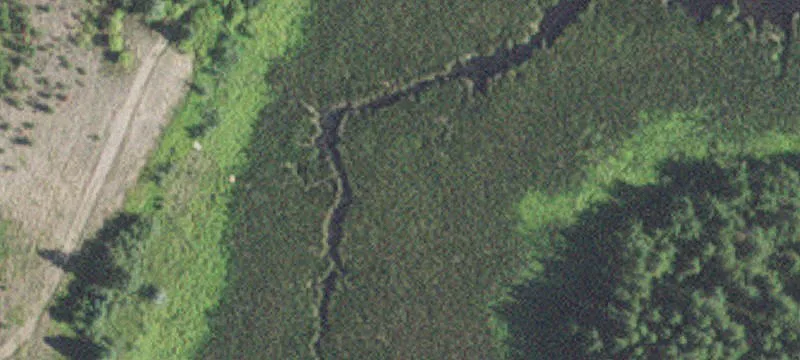 6700 Fireweed Rd