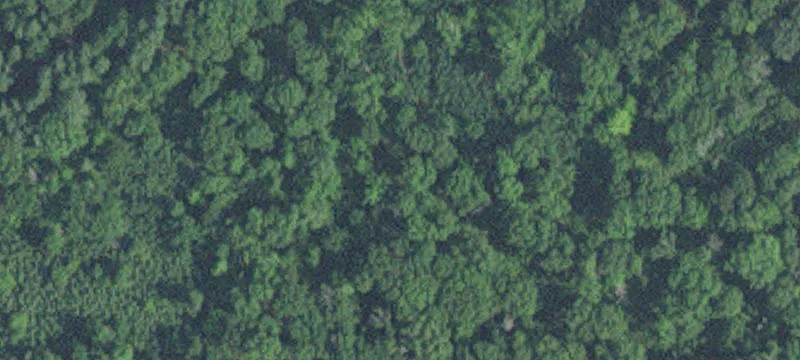 Brainerd, MN 56401